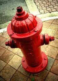 images 4 Running On The Beach 