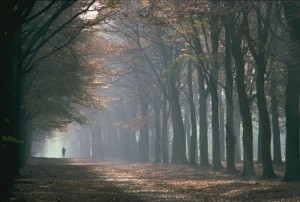 runner in fog scenery 300x202 Happy Trails To You.......