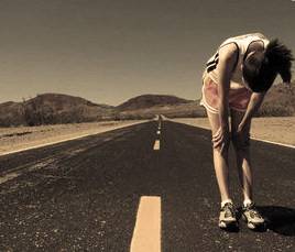 thewall1 The Beatings Will Continue Until Morale Improves!