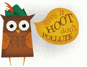 cd4aa77935934de3b166510adc435054P2WoodsyOwl 300x230 Give A Hoot!