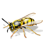 Profile picture of The Hornet